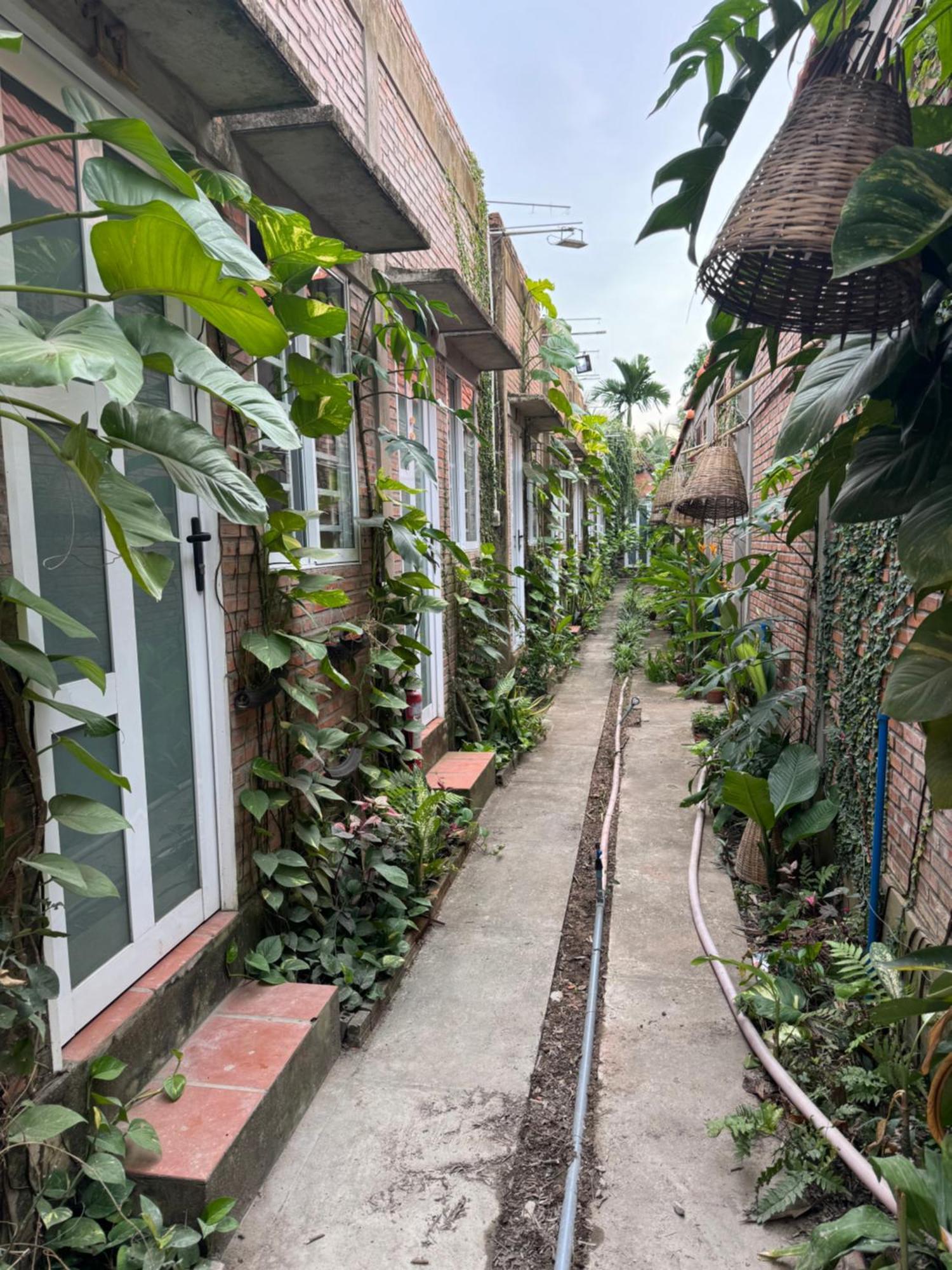 Bau Bi Mini Farmstay Mekong - Tien Giang Mỹ Tho Zewnętrze zdjęcie